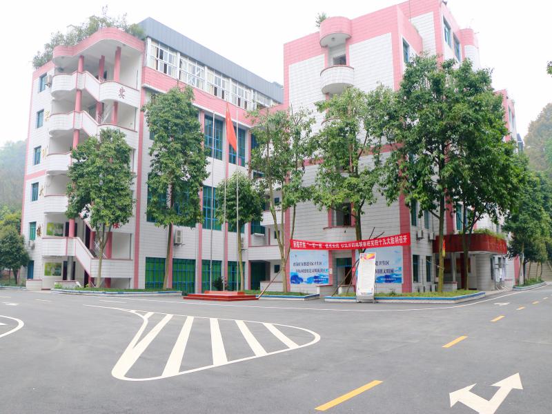 重慶南丁衛生職業學校